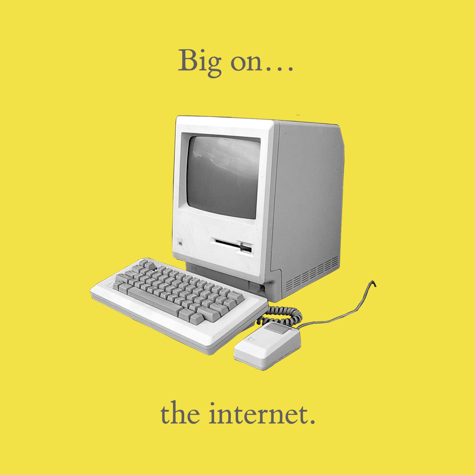 Introducing Tiny! | Tiny Digital